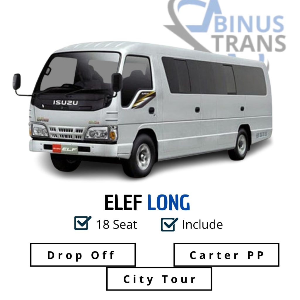 binus trans